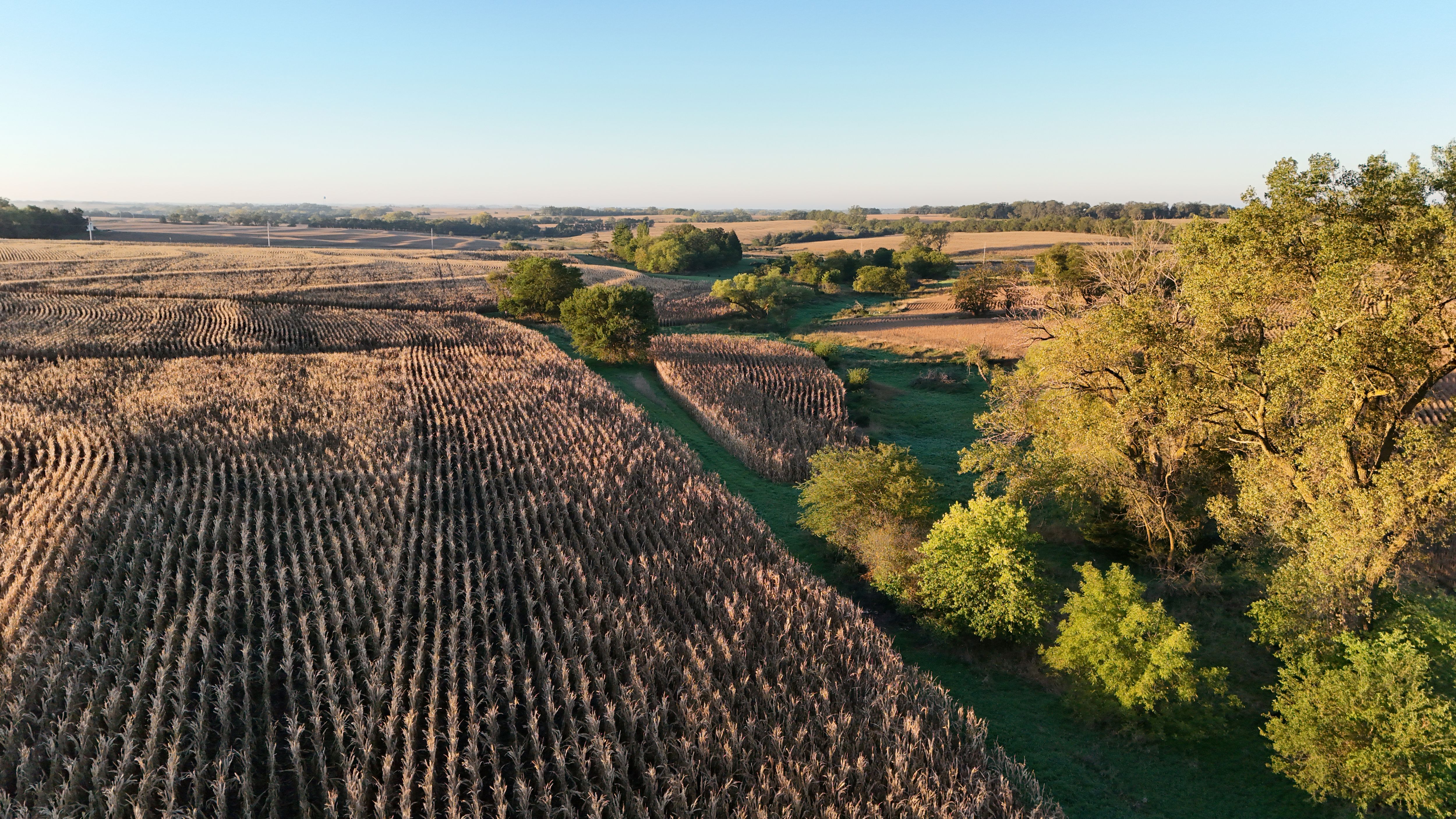 Listing Photo: lancaster-county-ne-125-acres (16)